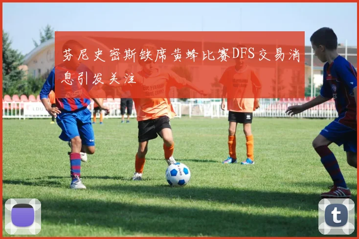 芬尼史密斯缺席黄蜂比赛DFS交易消息引发关注