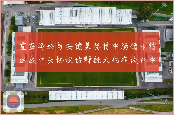 霍芬海姆与安德莱赫特中场德卡特达成口头协议佐野航大也在谈判中